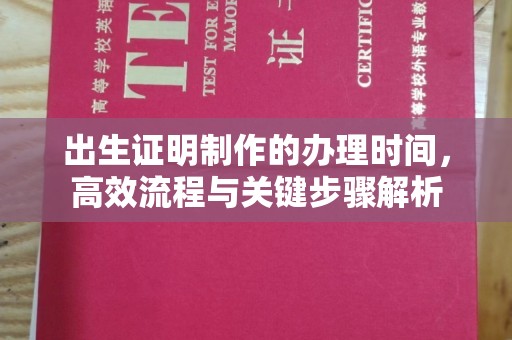 砚山出生证明制作的办理时间，高效流程与关键步骤解析
